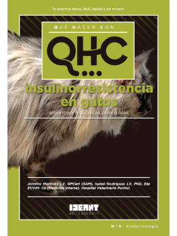 Qué Hacer Con... Insulinorresistencia en gatos