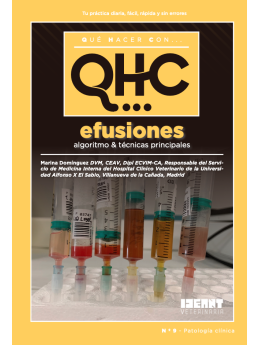Qué Hacer Con... Efusiones