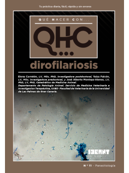 Qué Hacer Con... Dirofilariosis