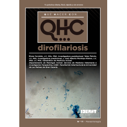 Qué Hacer Con... Dirofilariosis