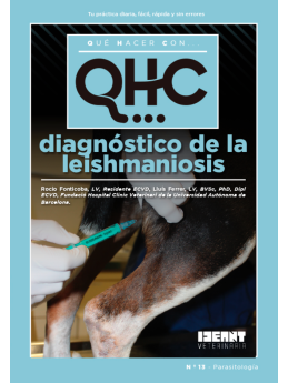 Qué Hacer Con... Diagnóstico de la leishmaniosis