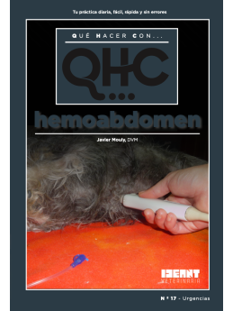 Qué Hacer Con... Hemoabdomen