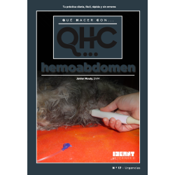 Qué Hacer Con... Hemoabdomen