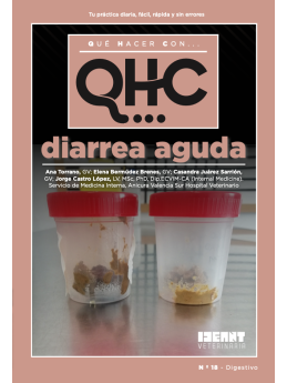 Qué Hacer Con... Diarrea Aguda