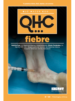 Qué Hacer Con... Fiebre