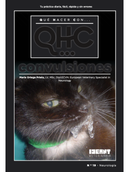 Qué Hacer Con... Convulsiones