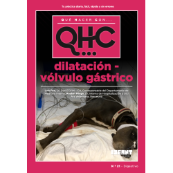 Qué Hacer Con... Dilatación Vólvulo - Gástrico