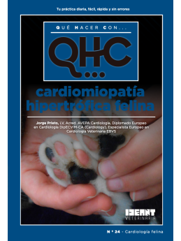 Qué Hacer Con... Cardiomiopatía Hipertrófica Felina