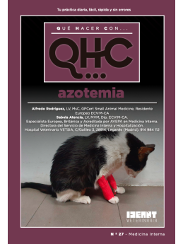 Qué Hacer Con... Azotemia