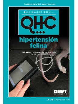 Qué Hacer Con... Hipertensión Felina