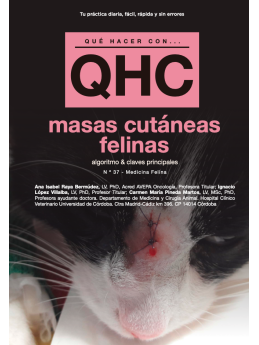 Qué Hacer Con... Masas Cutáneas Felinas