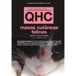 Qué Hacer Con... Masas Cutáneas Felinas