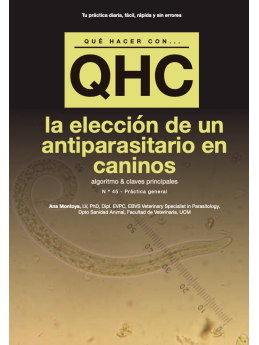 Qué Hacer Con... La elección de un antiparasitario en caninos