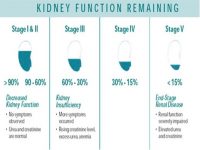1. 1 CREA estadios IRIS y funcionalidad renal remanente