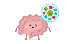 (7)disbiosis-intestinal-destacada1