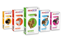 Bravecto Injectable- Exclusive for Vet Banner - SPANISH_VF.pdf