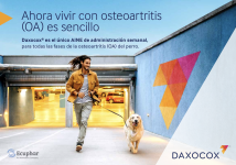 Captura de pantalla 2026-06-22 a las 14.45.35