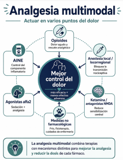 Figura 12