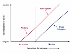 Figura 5