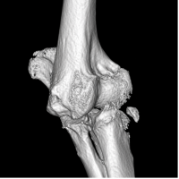 Figura 6