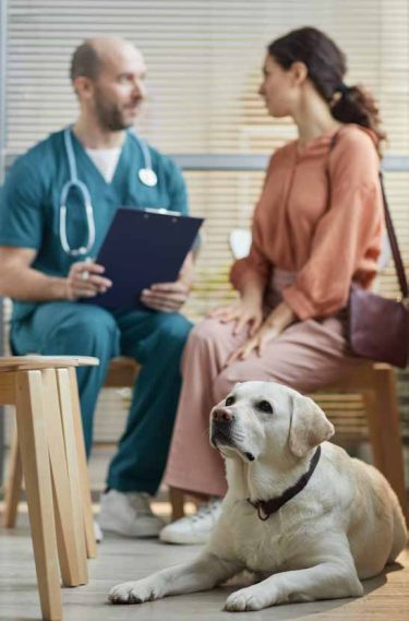 Folleto_Daxocox_Veterinario_2