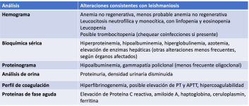Figura 12