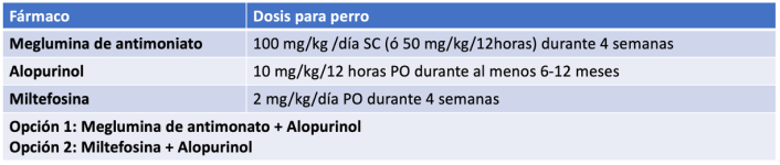 Figura 16
