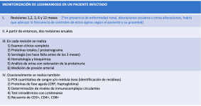 Figura 17