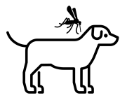 Figura 4