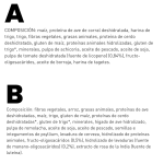 Imagen Pregunta 2 Imagen Pregunta 2