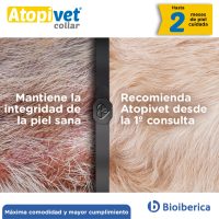 Post-Atopivet-1 Post-Atopivet-1