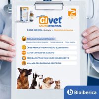 Post-GIVET-2 Post-GIVET-2