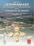 Figura 18