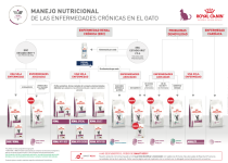 manejo-nuticional-enf-cro