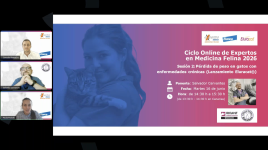 sesion 2 ciclo online